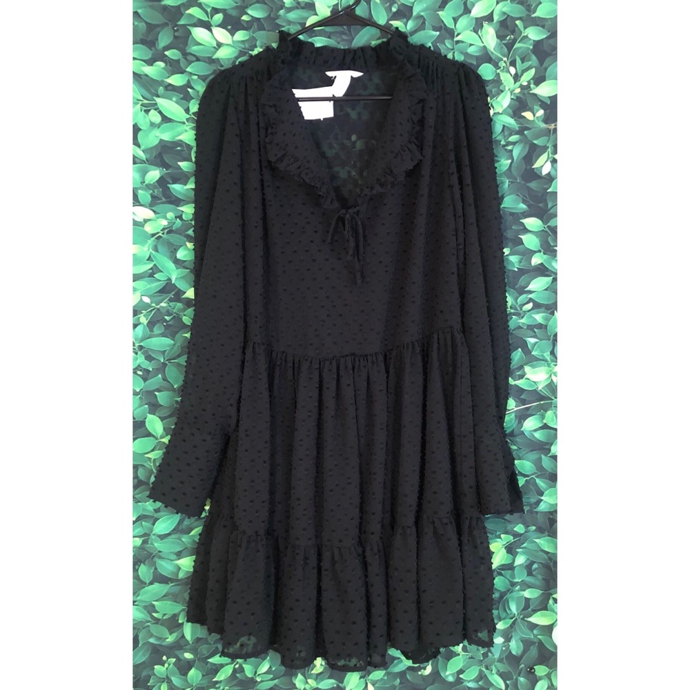 H&M Black Textured Polka Dot Sheer Dress (NWT)